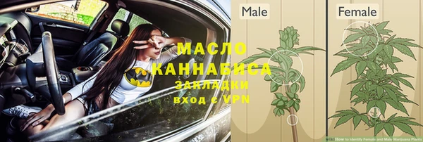 соль ск Медвежьегорск