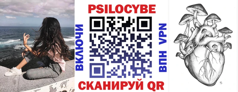 Псилоцибиновые грибы Psilocybine cubensis Славск