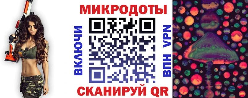 Псилоцибиновые грибы Psilocybe Славск